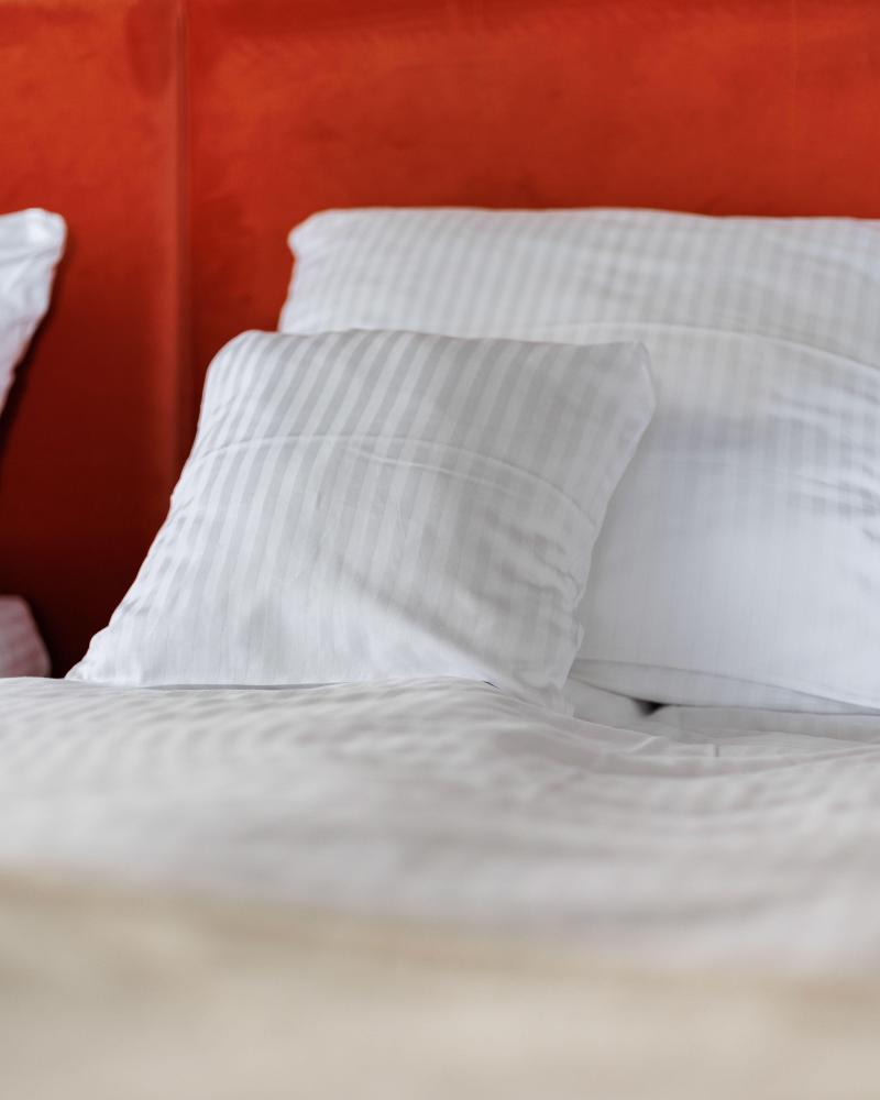 Apartament Bracka 4/1,2,4,7