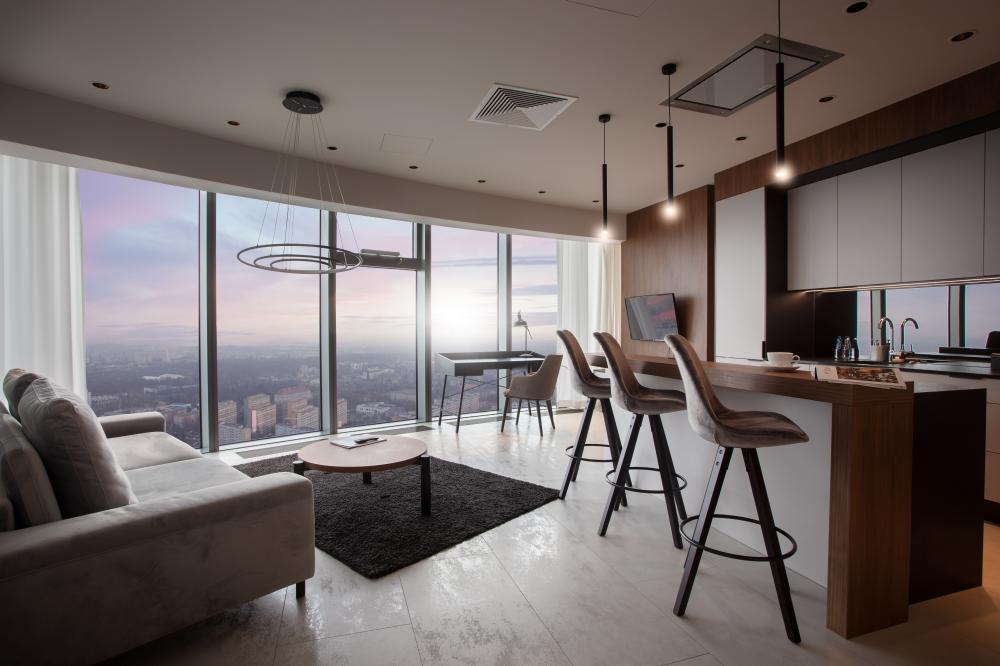 Executive Suite Apartment 