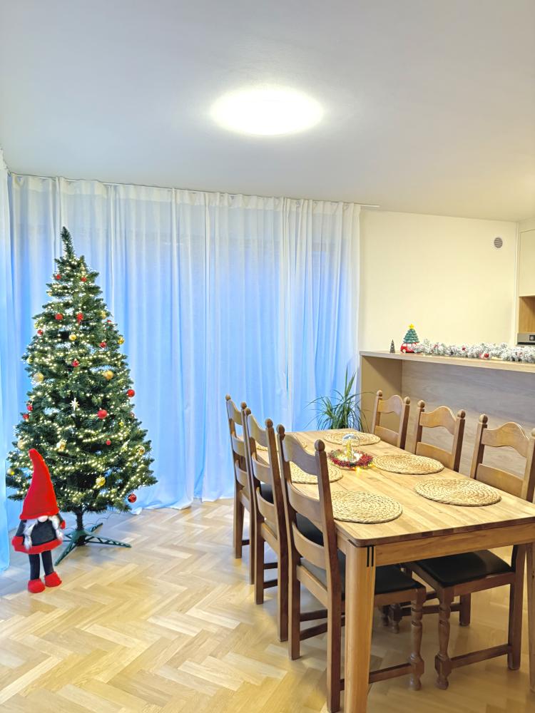 FamilyVilla Luxusní apartmán 1