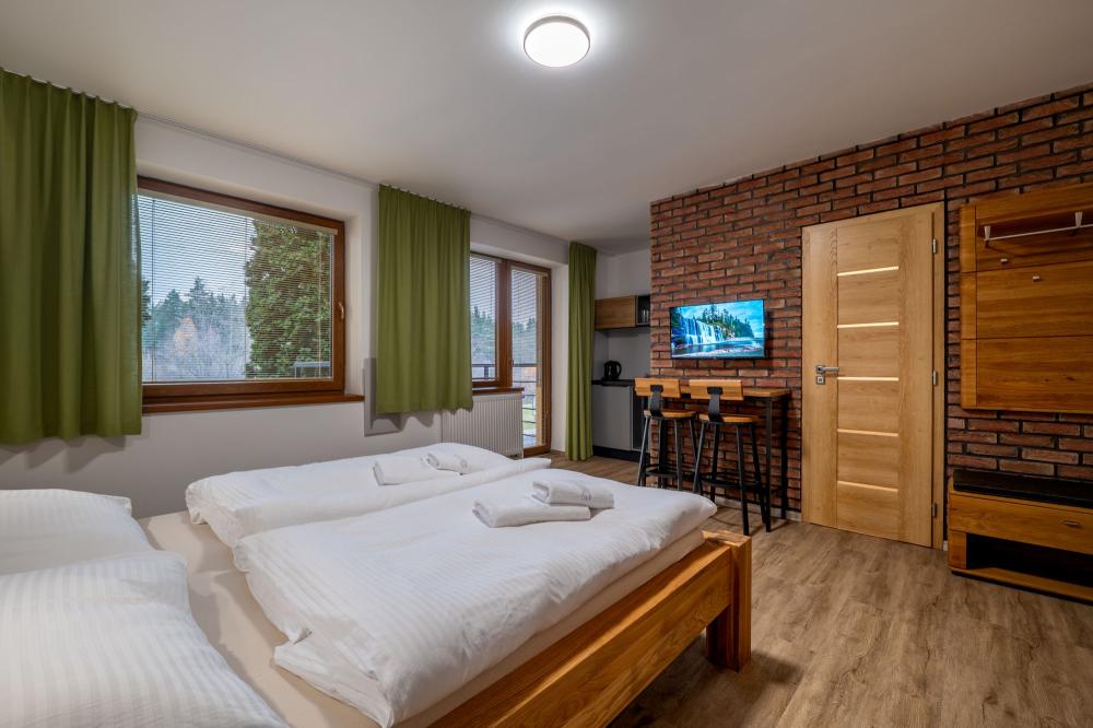 Štúdio pre 2 osoby s výhľadom na hory