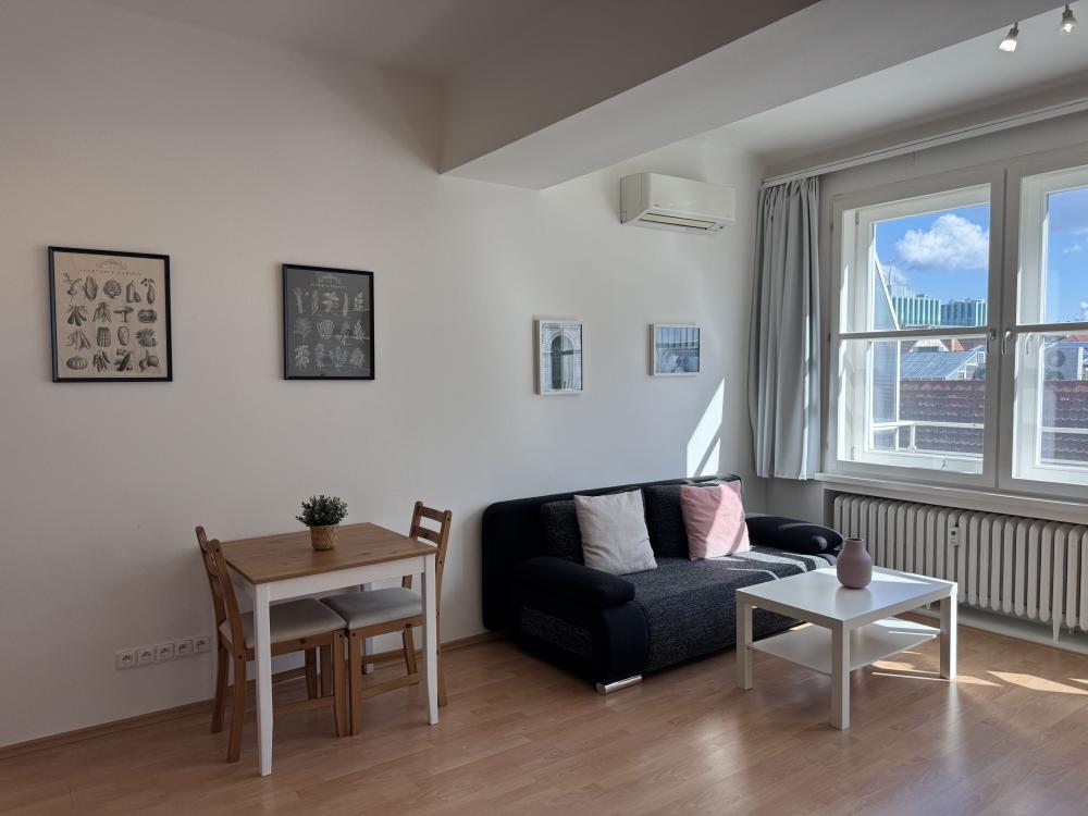 Cozy studio with a balcony by Wenceslas Square A52 (up to 3 people)