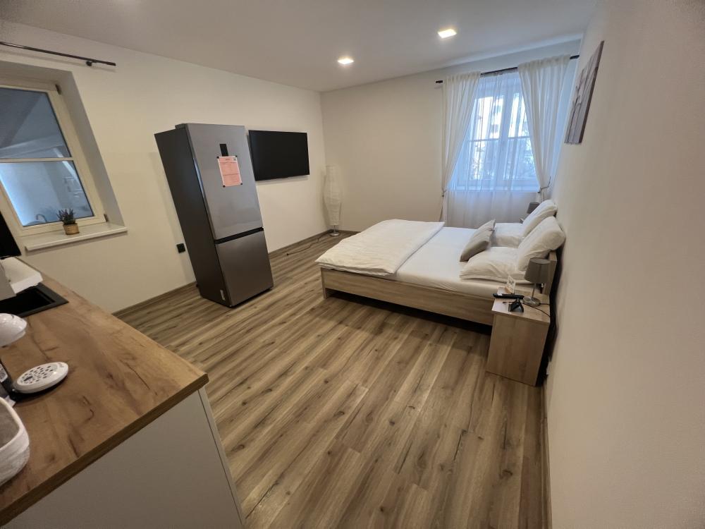 Podkrovní apartmánový byt č.9