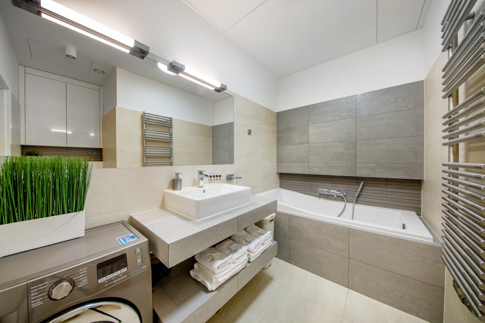 Apartament z jedną sypialnią