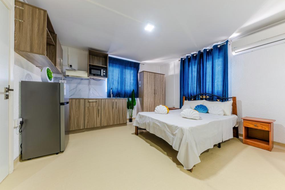 Double Studio with terrace and kitchen