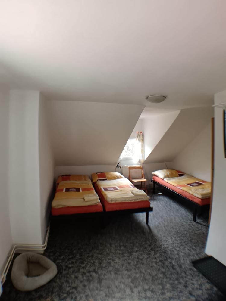 Třílůžkový pokoj v podkroví (pet friendly)