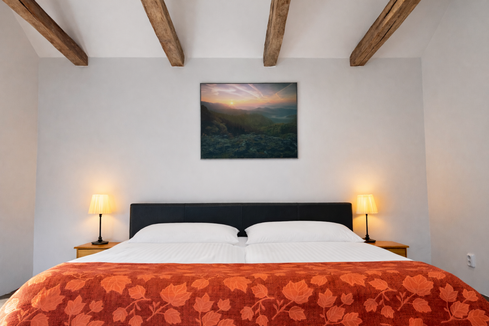 Symbiola Apartments - Studio Deluxe 5