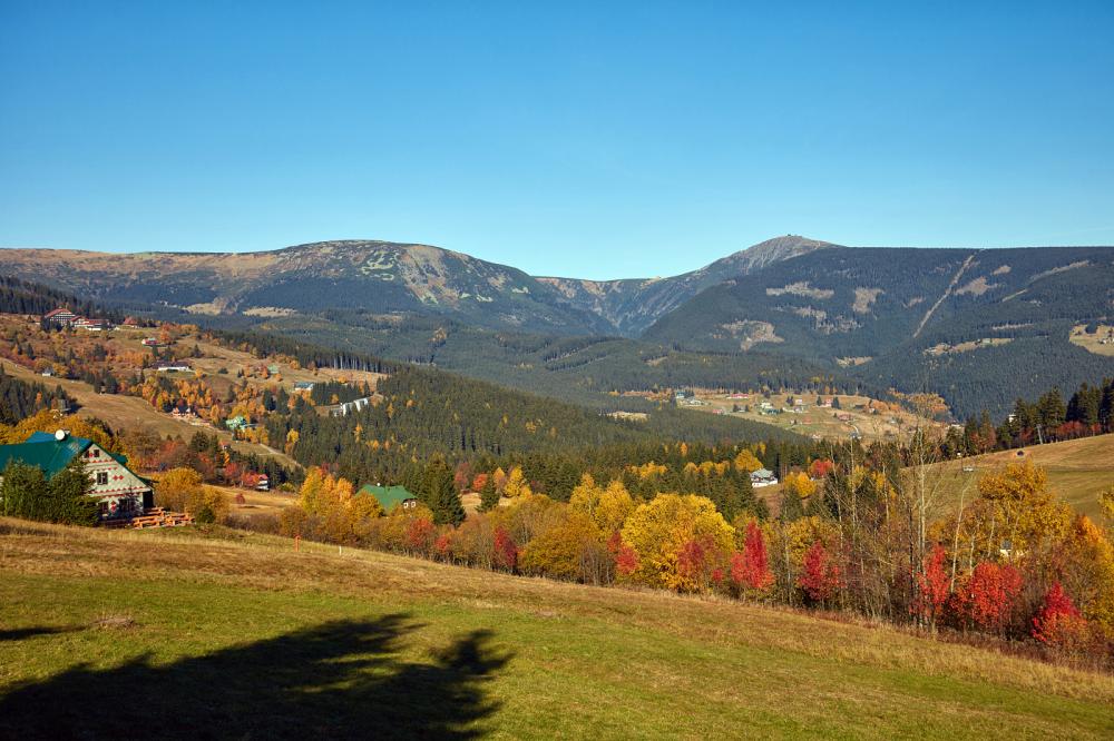Máme nové webové stránky!