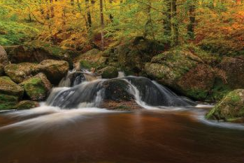Wernisaż wystawy Skupione na Górach Izerskich