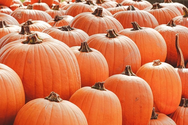 Dýňové hody v restauraci Nostalgia