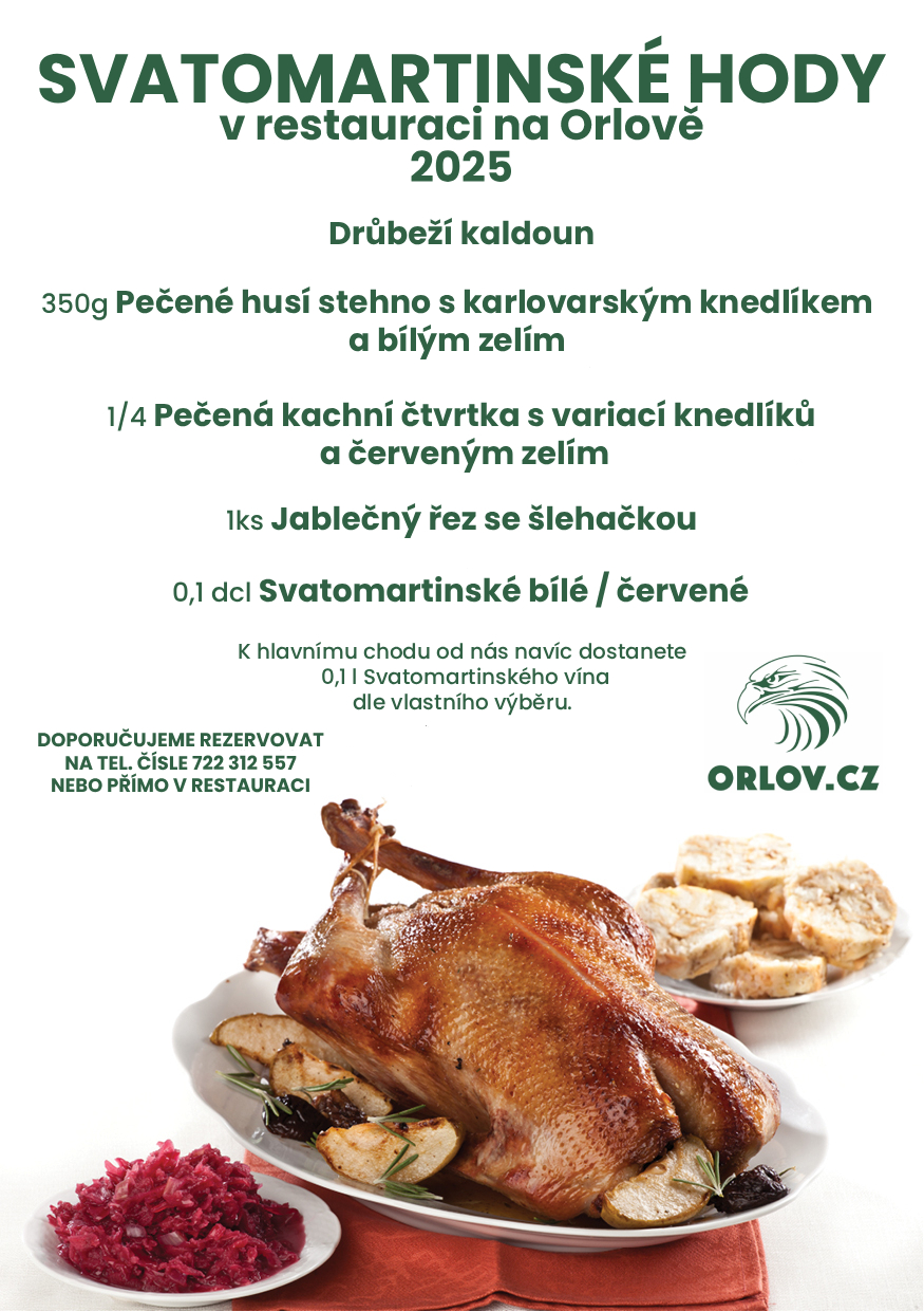 Svatomartinské hody 2025