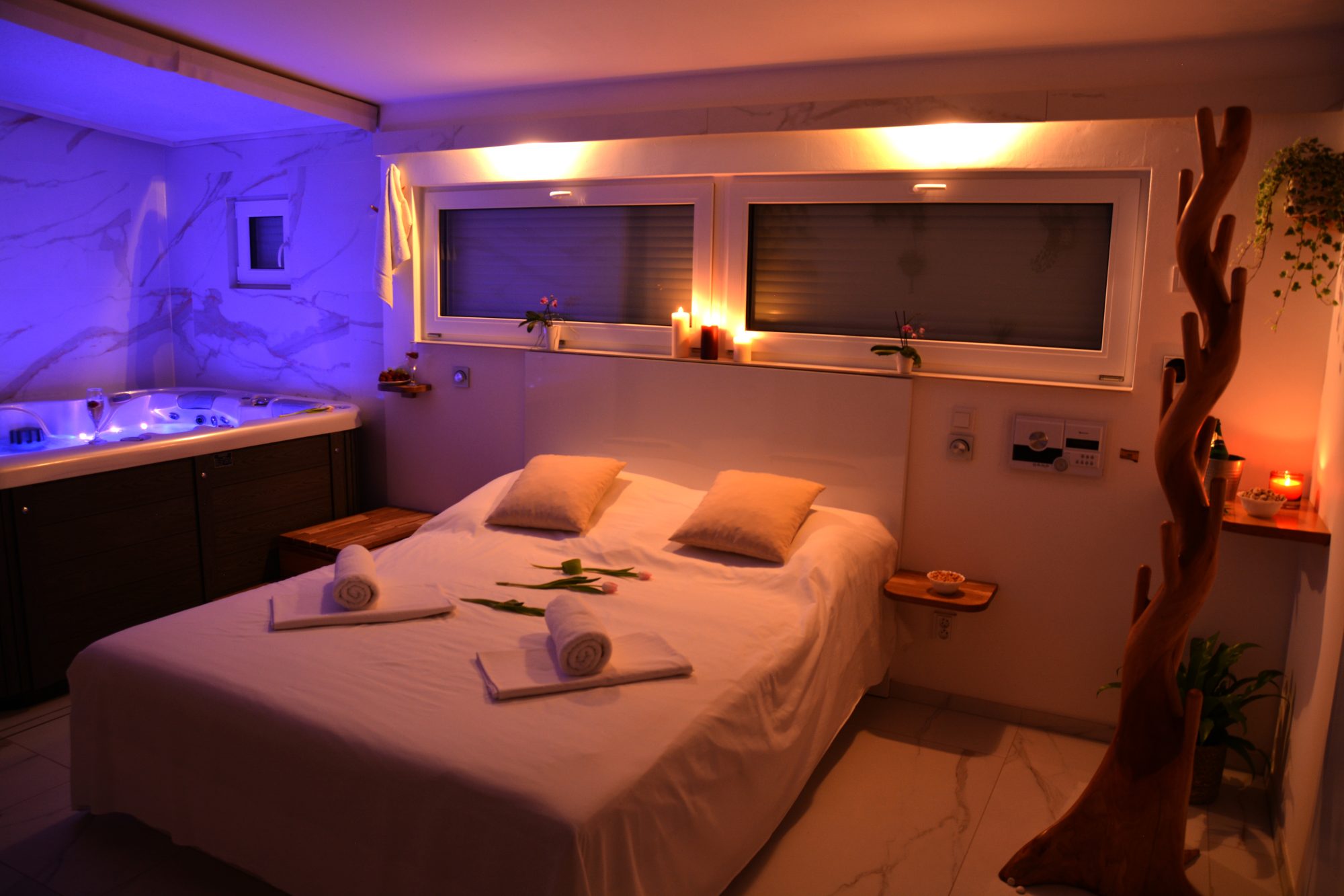 PRIVÁTNÍ WELLNESS VILA BOHEMIA 