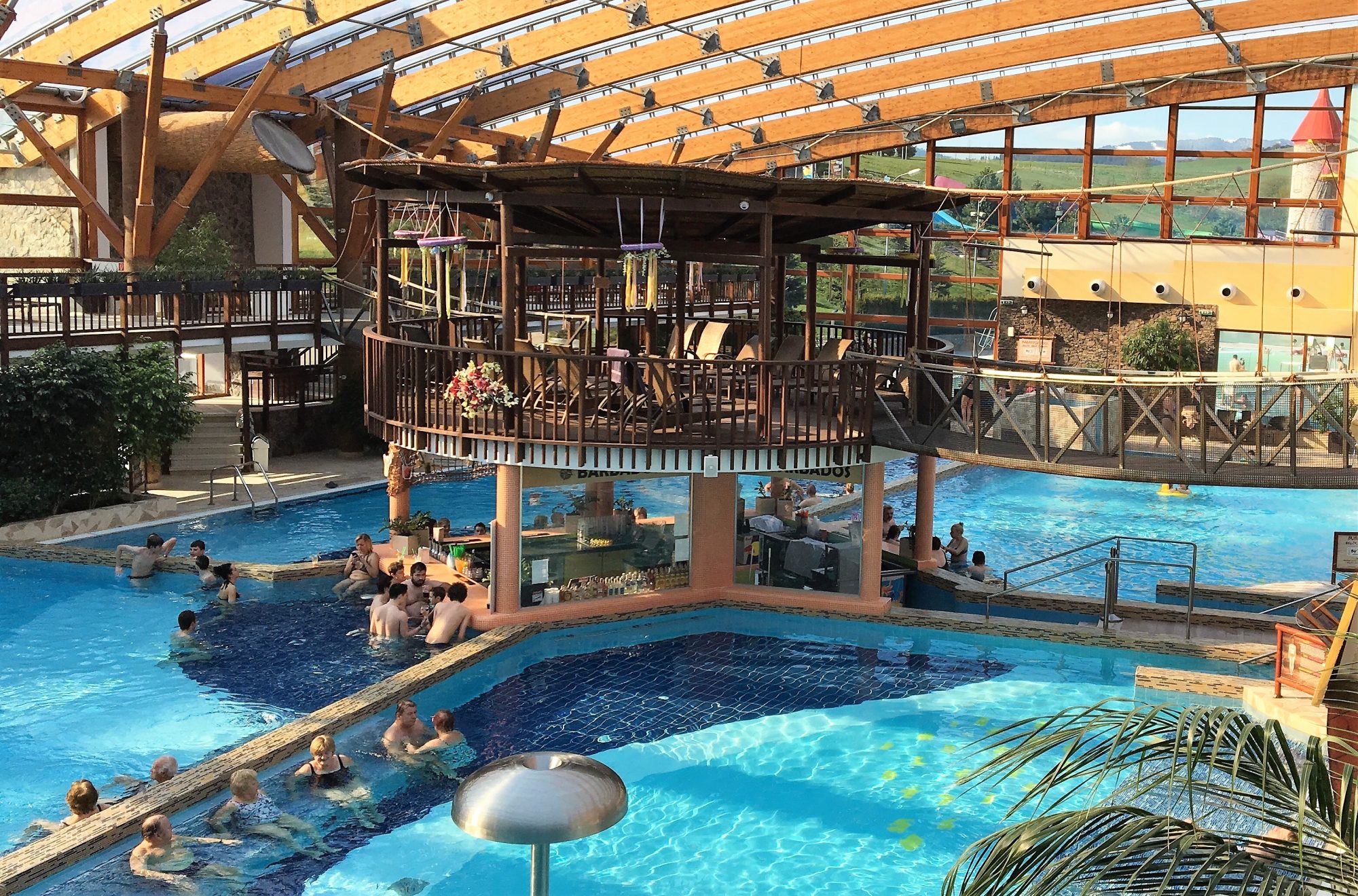 Summer forever! Tropical winter holidays