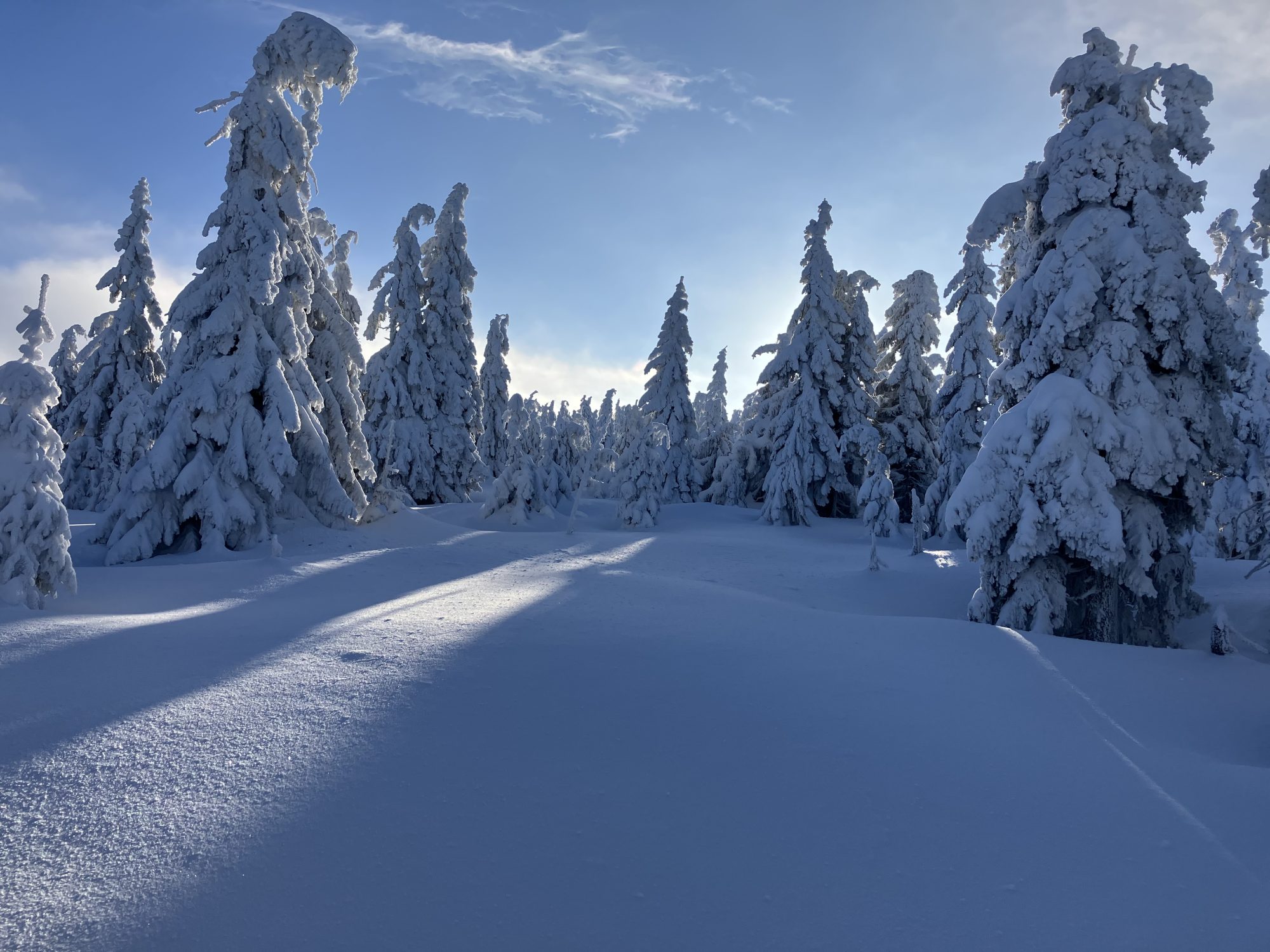 Máme ideální zimní podmínky