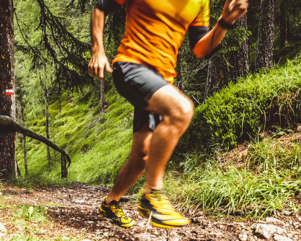 Run Labe Run 2025
