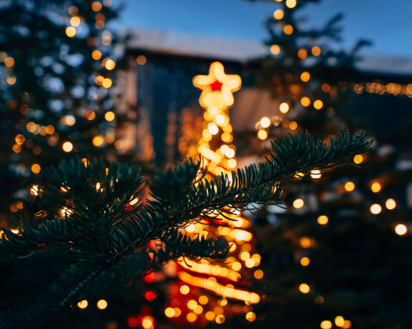 Stromek ve Špindlu se chystá zazářit!