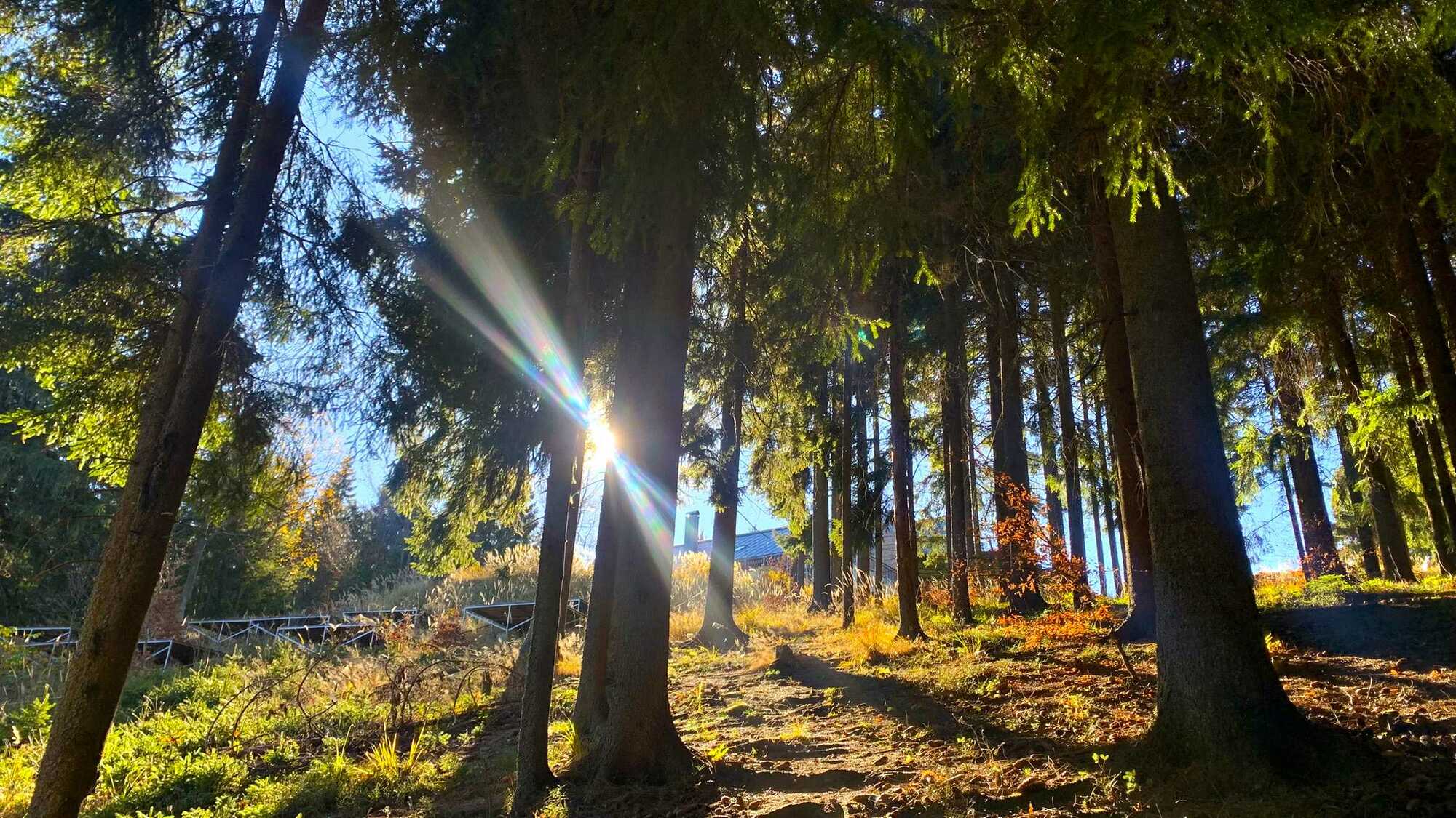 Masarykova chata na Beskydě