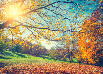 Spindl without rush in autumn colors – 2 nights